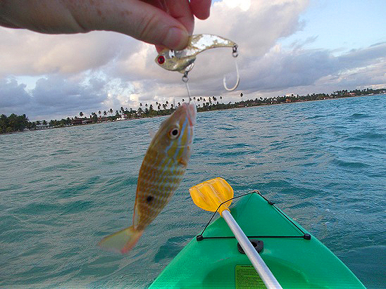 Richards first attempt with single hooks worked OK.