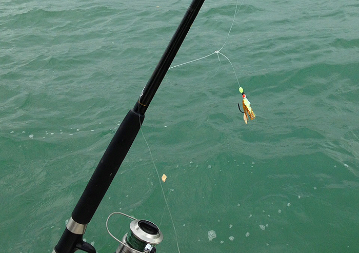 I suppose it's just a heavy duty mackerel feather.