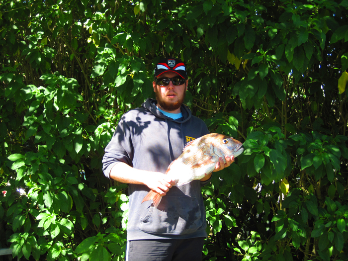 What a beauty and no doubt an excellent family meal.