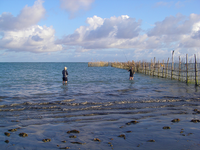 Traps like this are every few hundred metres along the beach and must intercept any decent fish making its way along the shore.