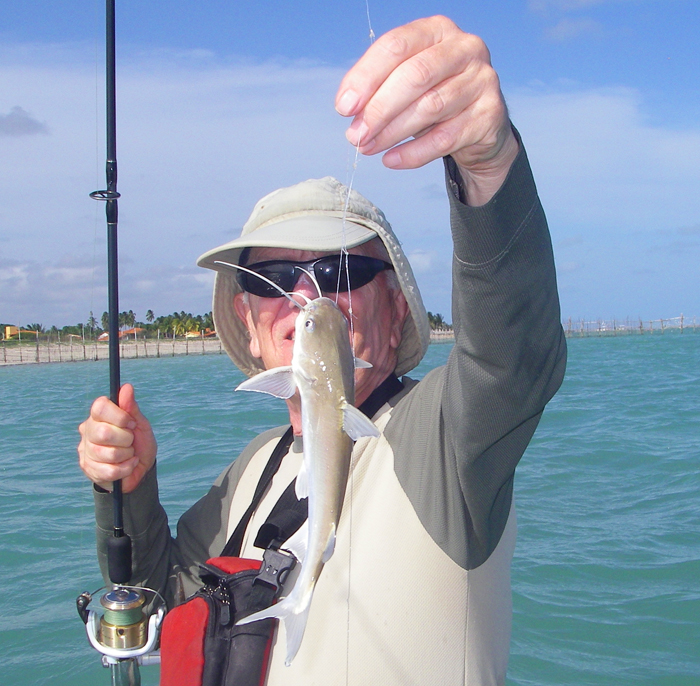 I caught lots of these on bits of prawn and fish. The larger ones fight like stink.