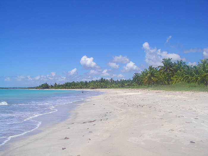 This is about one minute from Richard's fron door. The chap beach fishing in the distance is the only rod fisherman I saw in three weeks.