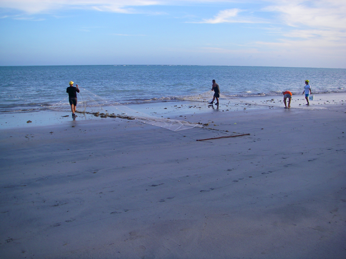 These fine meshed nets were widely used.