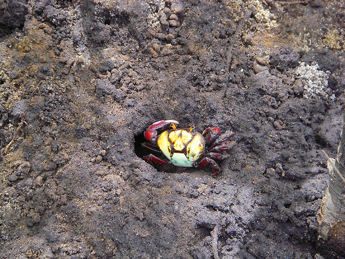 I think these are fantastic.