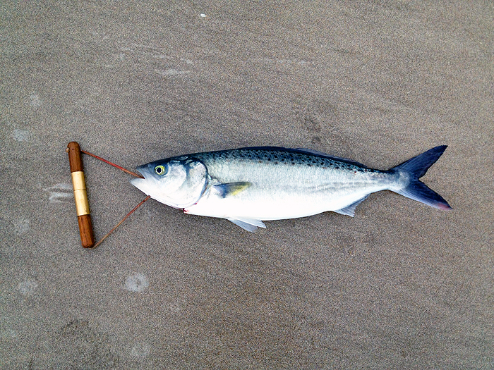 These streamlined jobs are superb.