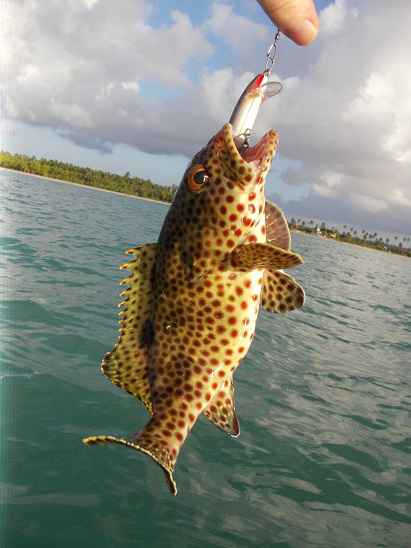 Look at those spots.