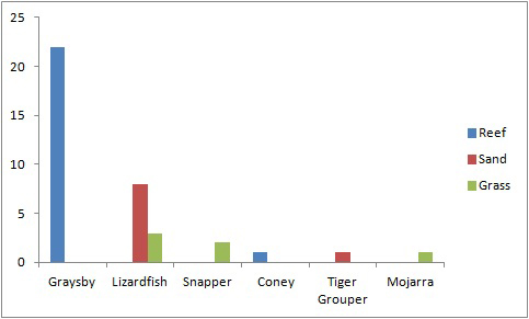 Reef for groupers sand for lizardfish.