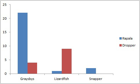 Rapala for groupers, plastic eel for lizardfish.