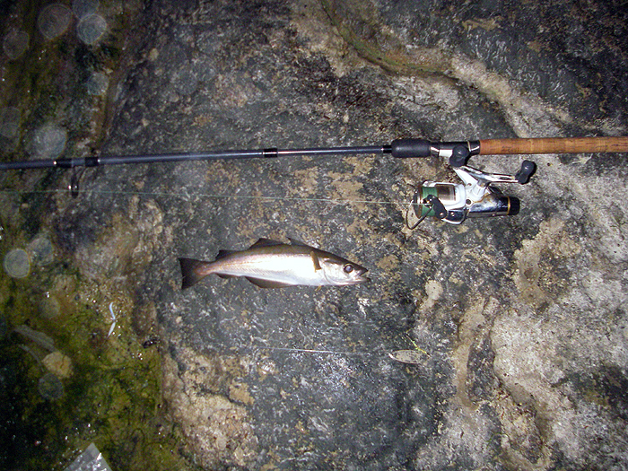 This one took while it was still pretty dark.