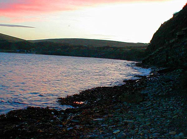 Even though it is dark the piles of weed are clearly visible. Note the black specks on the water which are feeding blackheaded gulls - the clue to the whereabouts of the fish.