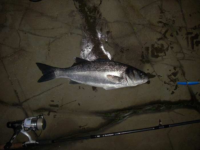 The Rapala is generally effective.