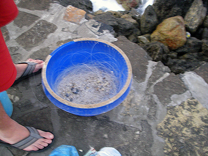 Quite a length of hefty nylon.