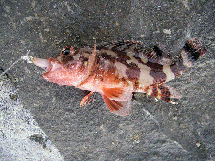 caught on a little Delta.