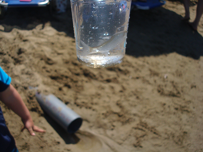 One of three species that we trapped.