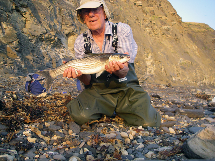 this one may or may not have had a go at the fly.