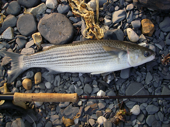 It looks better without me in the picture.