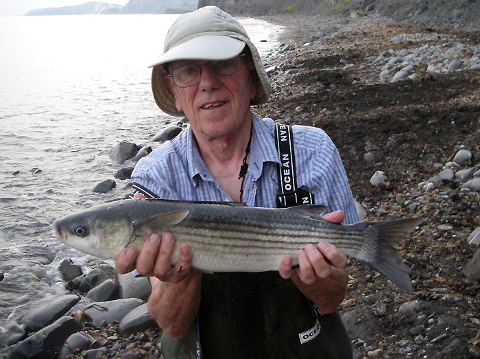 I expect I might have had one or two more if I'd hung on longer. They were certainly feeding well as I left.