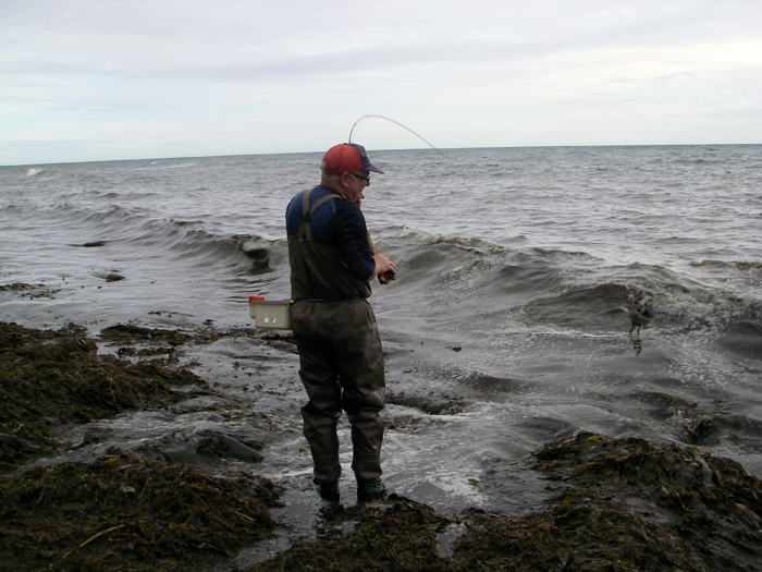 The fish is close in but weed on the line is now a problem.