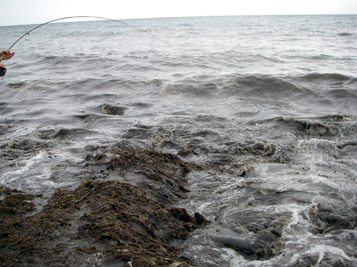 Little hope of landing it in these conditions.