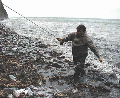 Yet again the weed has to be cleaned off.