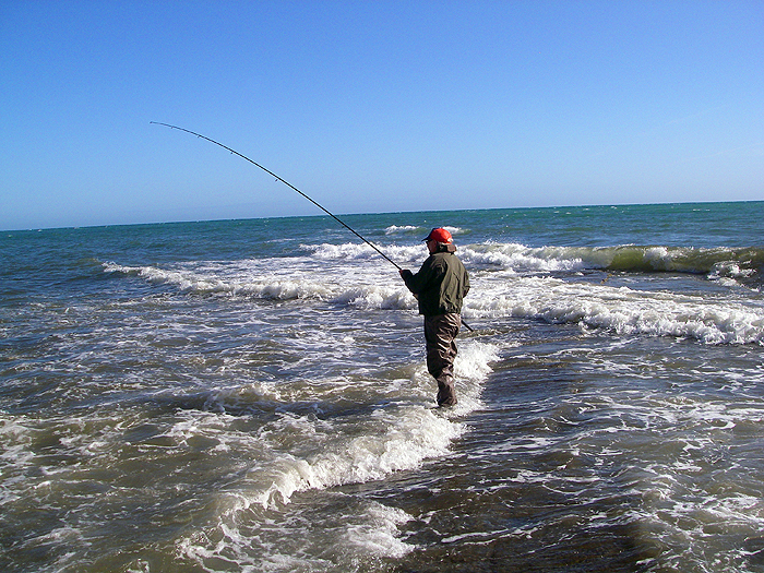 Nigel's first bass of the session begins to bend the rod.
