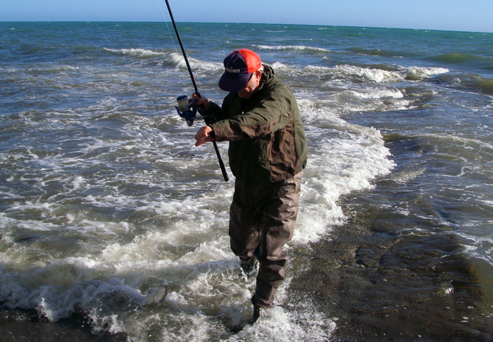 My pal walk's his fish ashore..