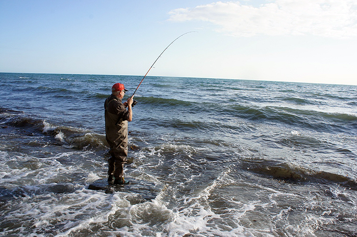 A good bass surges away.