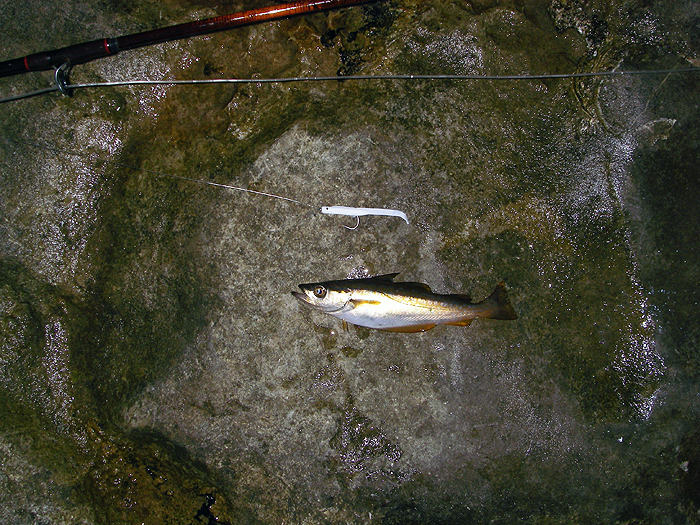 The onset of these often signals the end of the session.