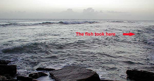 Water flows through a gap in rocks just out of shot on the right.