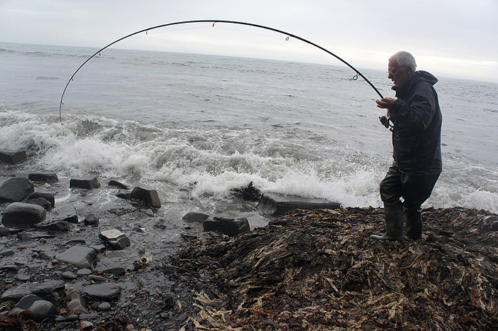 My old Surespin bends as I beach one of my bass on the first evening.