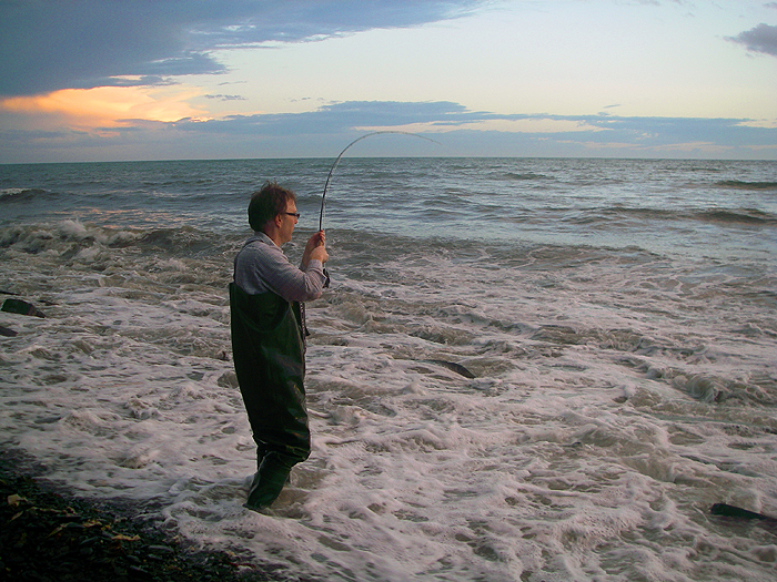 The fly rod curves over as Richard leans into a big mullet.