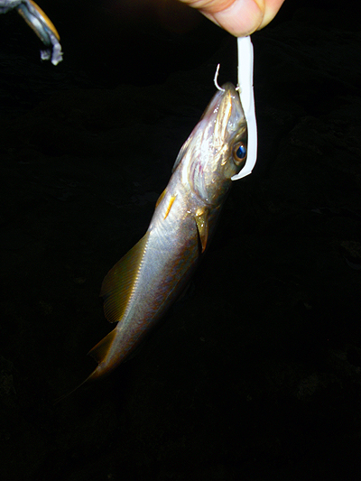 When I start catching these it's time to go.