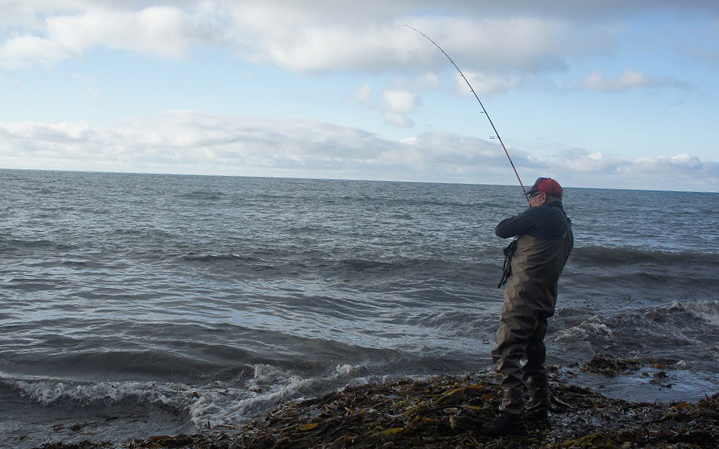 Nigel begins to play their second bass of the session.
