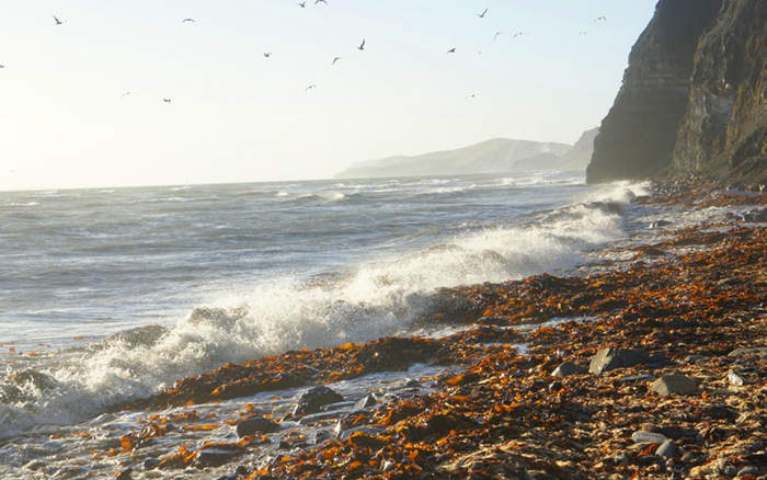 It doesn't look too bad in this picture taken by my mate Bill but believe me it was ROUGH!