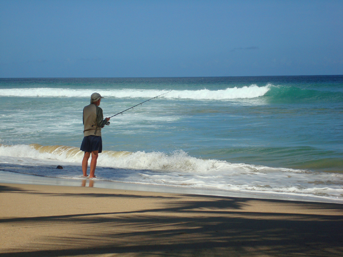 A wonderful sandy beach usually alive with houndfish.