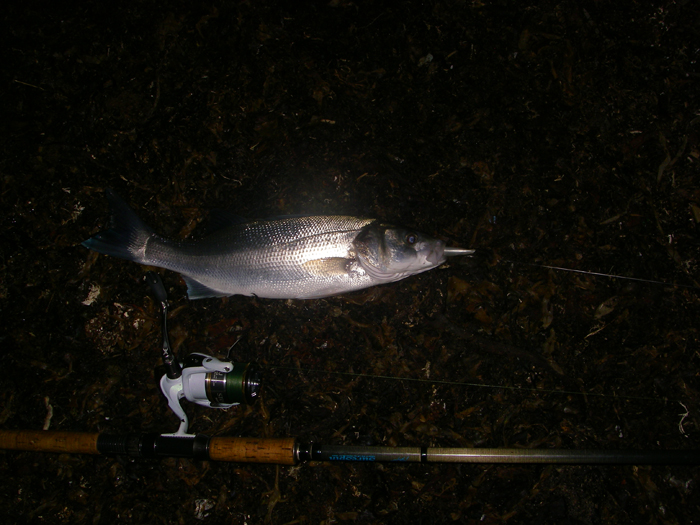 No monster but a welcome catch.