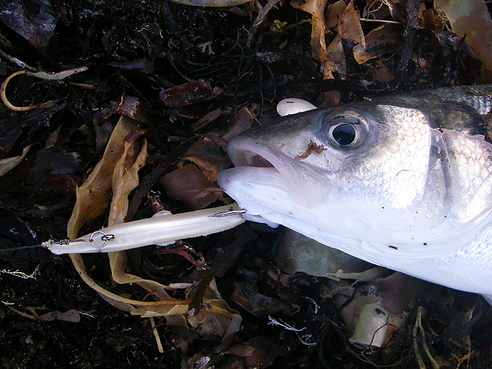The big single hooks rarely come out, even with the barbs well flattened.