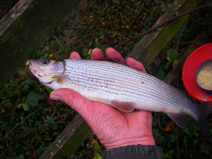 A good way to start the year.