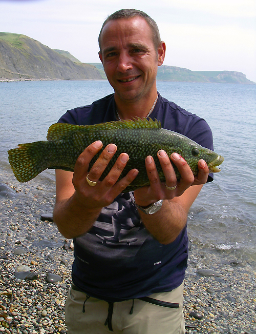 Bill is still not a fan of wrasse.