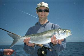 This is a real fish. There's no doubt that I could enjoy fishing for these beauties.