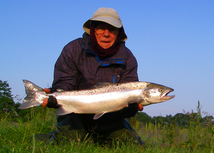 Even when they're 'accidental' they are beautiful fish.