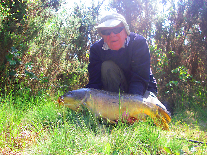 I have a soft spot for carp - even if they are brown.