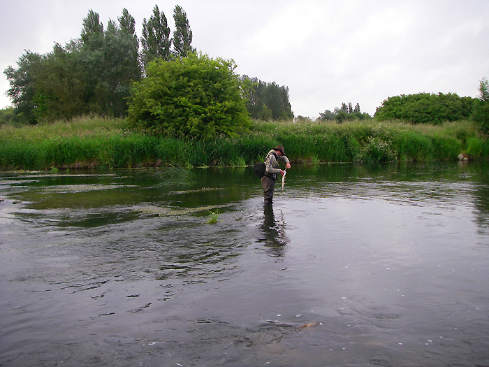 My pal Richard Gardiner unhooking a pike.