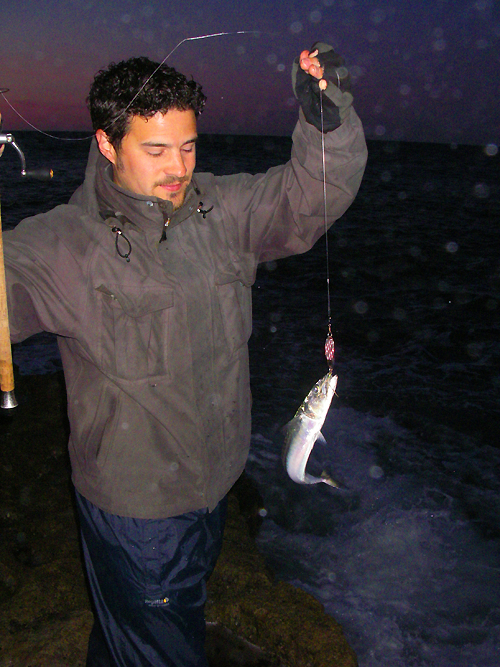 Another mackerel bites the dust.