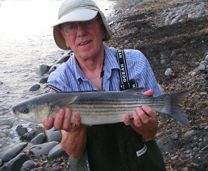 Unless the celebrity chefs latch onto them these fish will always provide amazing sport.