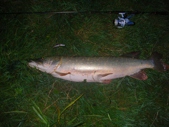 A cracker on my 'seatrout lure'.