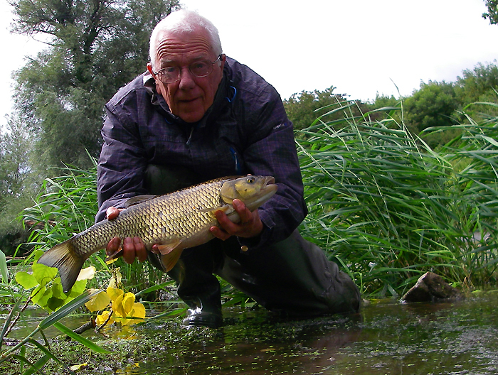 I seemed to catch a lot of these last season.