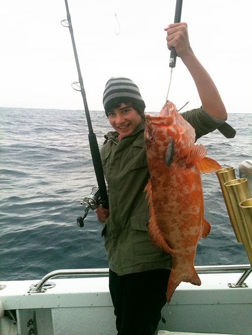 A nice 'grouper type' fish.