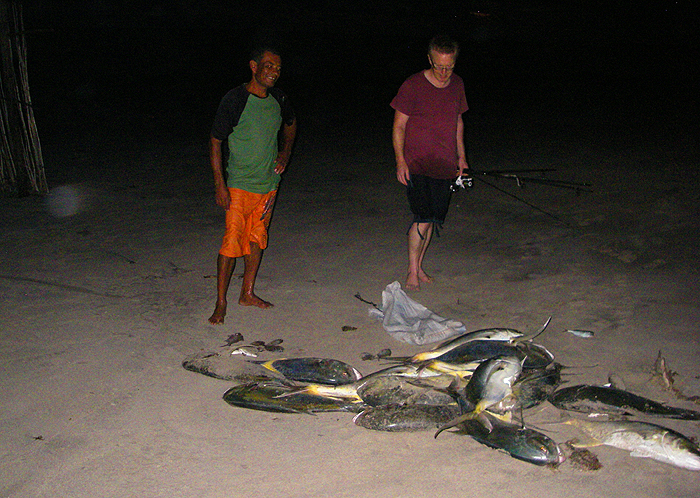 What a catch of jacks from the trap - just one of these would have made my holiday but they turn up once in a blue moon.