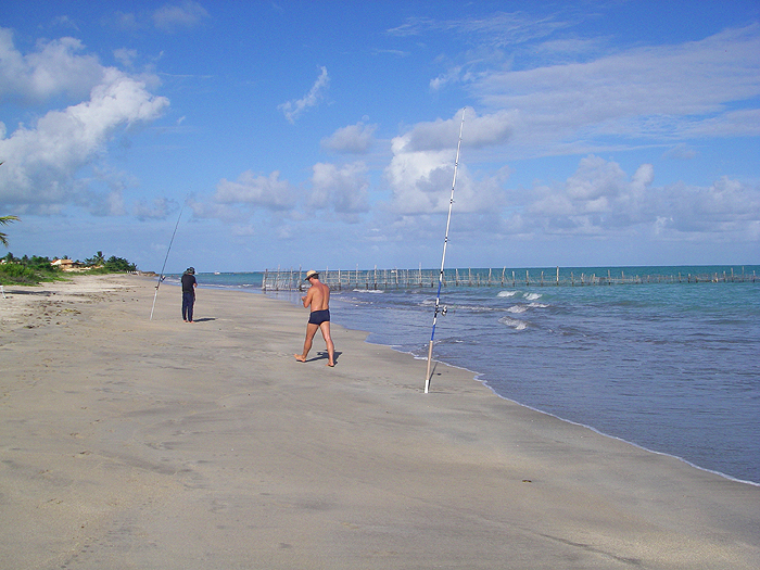 The fish trap in the background is the one that caught the jacks.